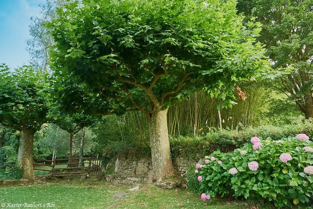 Hotel Fonda Finet Sant Felíu de Pallarols Spagna